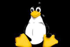 Zero-day exploits στις δημοφιλείς διανομές Linux, Fedora και Ubuntu