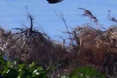 Η ομορφιά της φύσης σε μια φωτογραφία