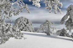 Παγετός, χιόνια και πτώση της θερμοκρασίας - Και το κρύο συνεχίζεται