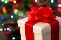 Η Ελληνική Αστυνομία προσέφερε δώρα και άλλα είδη στο Κέντρο Βρεφών «Μητέρα» και στο Κέντρο Ειδικών Ατόμων «Η Χαρά»