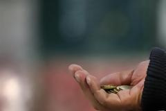 Ασφαλισμένοι ΟΓΑ: Από 1η Ιανουαρίου ασφαλιστικές εισφορές 6,95%