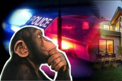 Σκάνδαλο στα Νότια Προάστια: H ΕΛ.ΑΣ. επιτηρεί το σπίτι μαϊμού εκδότη – δημοσιογράφου!