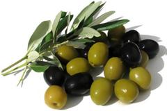 Δήλωση του Δημάρχου Ιερής Πόλης Μεσολογγίου για την Ελιά Καλαμών