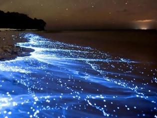 Φωτογραφία για Μαλδίβες: Περπατώντας σε μια θάλασσα από αστέρια