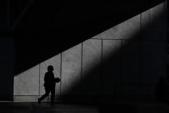 Ποια επαγγέλματα παρουσιάζουν τις καλύτερες προοπτικές απασχόλησης