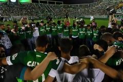 Η Σαπεκοένσε ξαναγιεννιέται