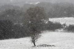 Ο καιρός μέχρι την παραμονή Πρωτοχρονιάς - Παγωνιά και χιόνια στα πεδινά