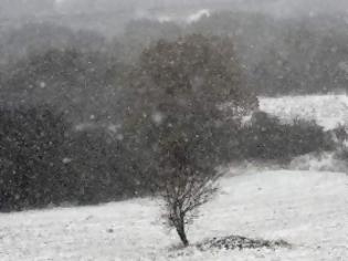 Φωτογραφία για Ο καιρός μέχρι την παραμονή Πρωτοχρονιάς - Παγωνιά και χιόνια στα πεδινά