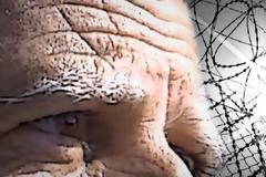 Στα άδυτα των Κεντρικών φυλακών – Η ζωή και το 24ωρο ενός κατάδικου