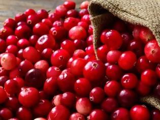 Φωτογραφία για Τα cranberries είναι το φρούτο που χρειάζεσαι για την προστασία του δέρματός σου