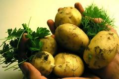 Πώς ξεφλουδίζονται πανεύκολα οι βραστές πατάτες