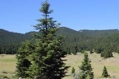 Αρκαδία, γενέτειρα θεών και ηρώων