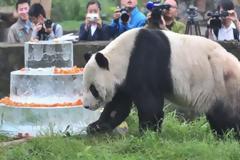 Κανείς δεν ζει για πάντα...Πέθανε το γηραιότερο αρσενικό πάντα στον κόσμο