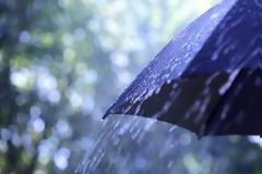 Κύπρος: Ξεπέρασε τις προσδοκίες η βροχόπτωση