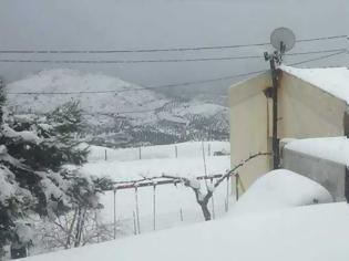 Φωτογραφία για Η επέλαση του χιονιά στην Κρήτη: Προβλήματα στην ηλεκτροδότηση - Δεμένα τα πλοία