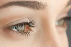 Oι παθήσεις του αμφιβληστροειδούς και της ωχράς κηλίδας