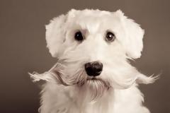 Γιατί δεν πρέπει να κόβουμε τα 