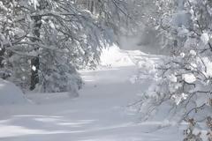 Οικογένεια αποκλείστηκε σε Οροπέδιο - Ένα ολόκληρο χωρίο χωρίς ρεύμα