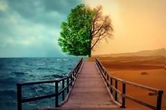 Συνεπώς, χρειάζεται να κάνουμε καλές πράξεις, ως προϋπόθεση για να ευτυχίσουμε;