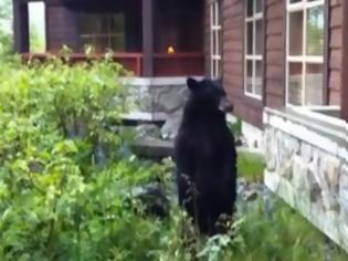 Φωτογραφία για Ψυχάκιας τα βάζει με αρκούδα! [Video]