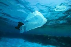 ΗΠΑ: Απαγόρευση των πλαστικών σακουλών στην πολιτεία του Μίσιγκαν