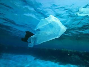 Φωτογραφία για ΗΠΑ: Απαγόρευση των πλαστικών σακουλών στην πολιτεία του Μίσιγκαν