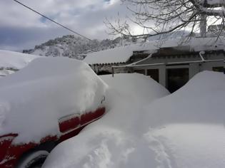 Φωτογραφία για Απίστευτες οι εικόνες από τη χιονισμένη Κρήτη!