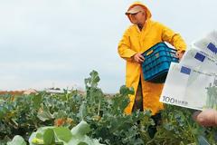 Οι νέες εισφορές των αγροτών