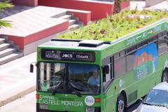 Οι κρεμαστοί –σε λεωφορεία– κήποι της Μαδρίτης [video]