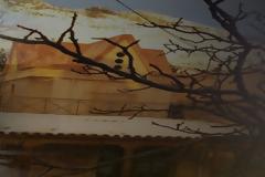 Κρήτη: Το… μεγαλείο της φύσης από τους πρόποδες του Ψηλορείτη