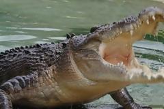 Ταϊλάνδη: Τουρίστας πήγε να βγάλει selfie με κροκόδειλο και τον δάγκωσε