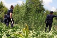 Aλβανία, η Κολομβία της Ευρώπης