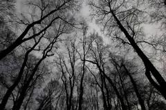 5 ανατριχιαστικά μυστήρια που ίσως δεν έχετε ξανακούσει