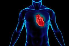 13 παράξενες πληροφορίες για το ανθρώπινο σώμα