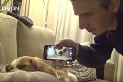 Θα τρελαθείτε! Επική αντίδραση σκύλου όταν ακούει για πρώτη φορά το ροχαλητό του...