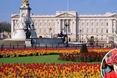 Φρουρός του Μπάκιγχαμ λίγο έλειψε να πυροβολήσει… τη βασίλισσα