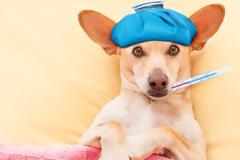 Πυρετός: Τι πρέπει να κάνετε και τι όχι - Πότε να συμβουλευτείτε γιατρό