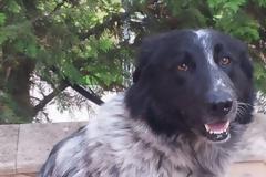 Υπάρχει μια αγκαλιά  γι' αυτόν τον γλύκα...;