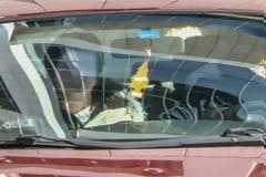 FAZ για Ρούπα: Ληστεία στο όνομα του λαού