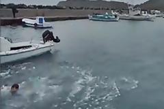 Ο μικρούλης θαρραλέος από την Λήμνο που προσπάθησε να πιάσει τον σταυρό