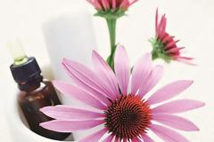 7 φυσικά αντιβιοτικά