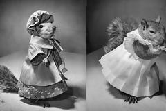 Tommy Tucker: Ο σκίουρος που έγινε η μασκότ της Αμερικής στο Β' Παγκόσμιο