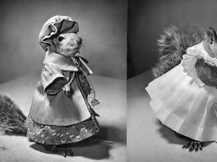 Φωτογραφία για Tommy Tucker: Ο σκίουρος που έγινε η μασκότ της Αμερικής στο Β' Παγκόσμιο
