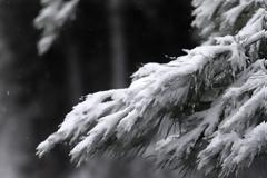 Τρεις νεκροί από το κρύο στην Ιταλία