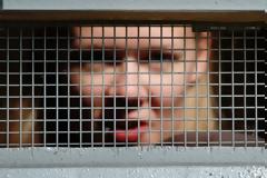 Πανέμορφες κοπέλες που μπήκαν στη «στενή» για γελοίους και σοβαρούς λόγους