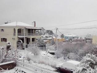 Φωτογραφία για Αντιμέτωπη με το δεύτερο κύμα χιονιά η Χίος [video]