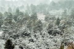 Νεκροί πρόσφυγες στη Βουλγαρία μέσα σε χιονοθύελλα!