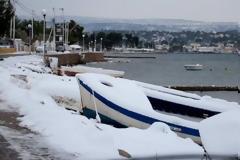 Φθιώτιδα: Το χιόνι έφτασε στο κύμα