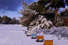 Χιονοπόλεμος στη διάσημη παραλία της Καλογριάς! 