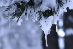 Αντιμέτωποι με το ψύχος πρόσφυγες και μετανάστες στη Μυτιλήνη